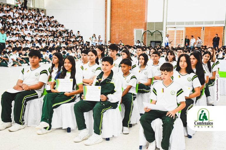 Gobierno_escolar_1